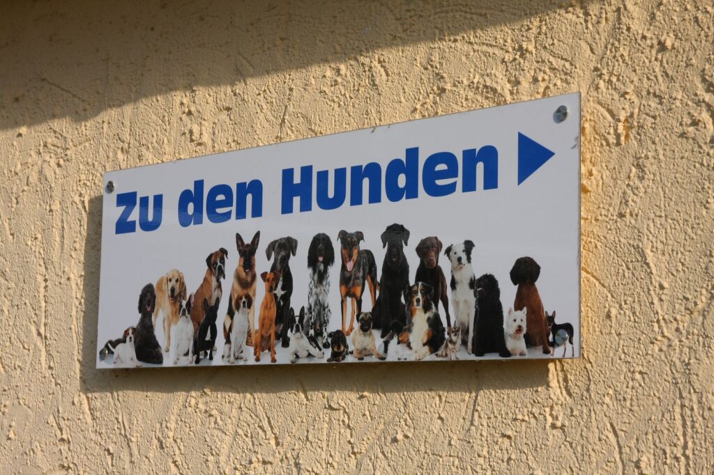 Termine im Tierheim Tierschutz Hildesheim und Umgebung e.V.