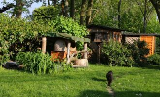 Verlässlicher Mitarbeiter/in oder Ehrenamtliche/r für die Gelände und „Gebäudepflege“ auf der Katzenwiese