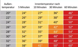 Tipps zum Umgang mit der Hitze
