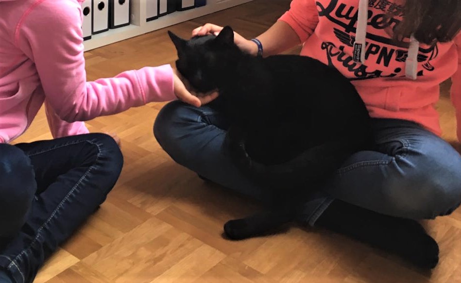 Neues Zuhause – Katze Blacky (jetzt Neo) grüßt