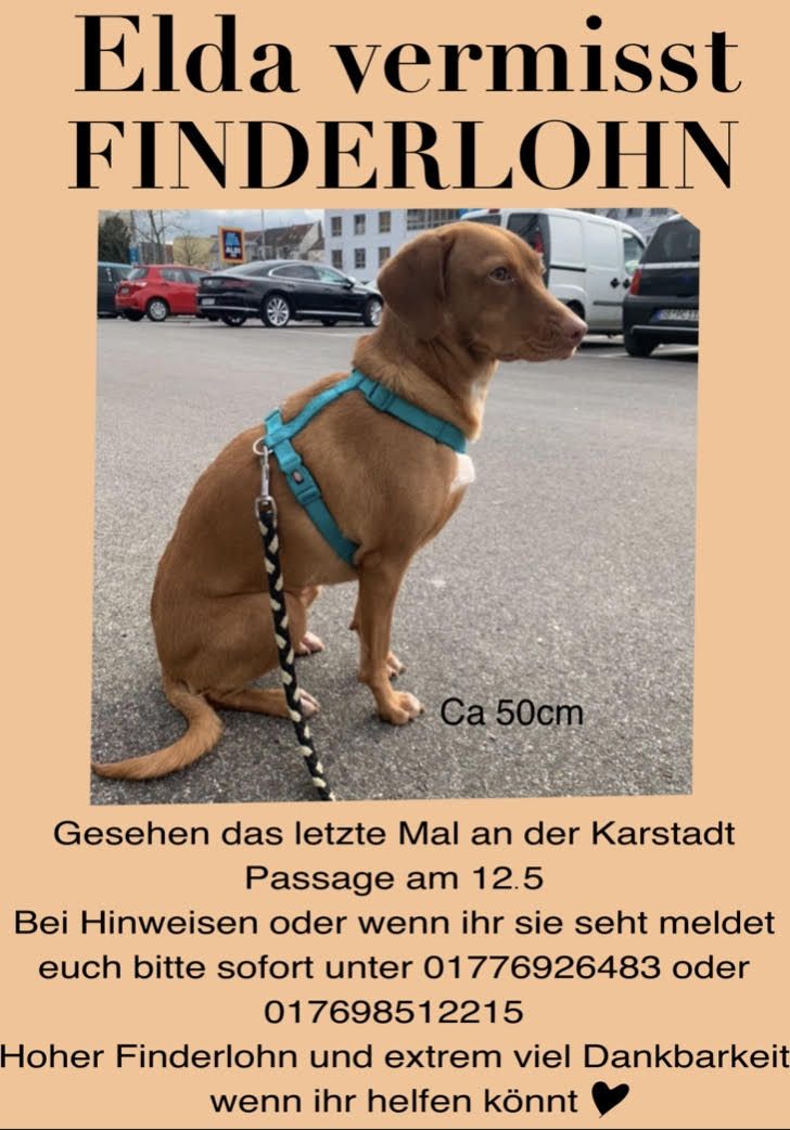 Vermisst – Selda in Saarbrücken gestohlen