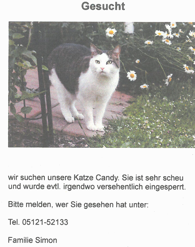 Vermisst – Katze Candy aus Hildesheim-Itzum, Goffaux-Str.