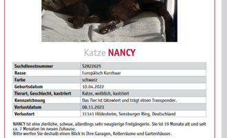 Vermisst – Katze Nancy aus Hildesheim