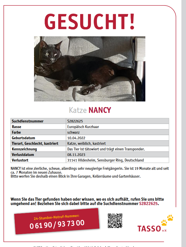 Vermisst – Katze Nancy aus Hildesheim