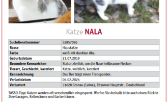 Vermisst – Katze Nala aus Gronau