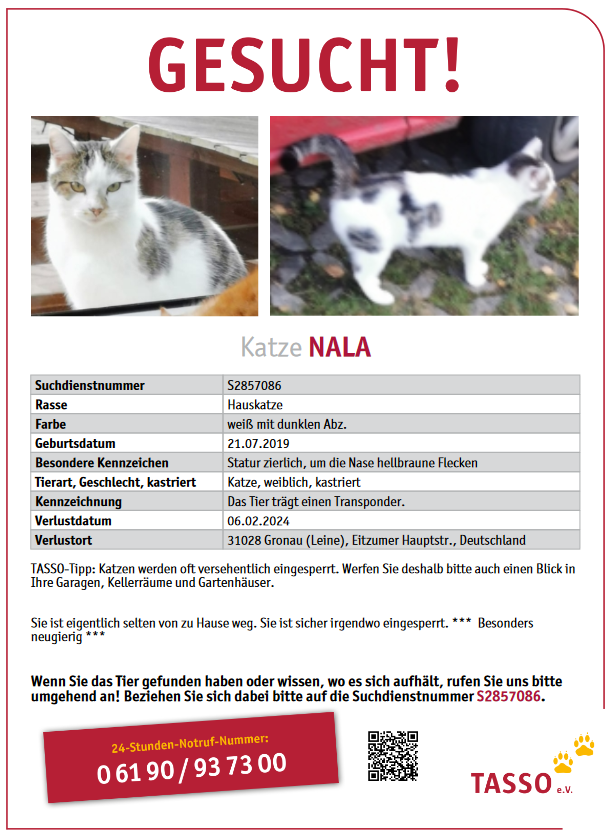 Vermisst – Katze Nala aus Gronau