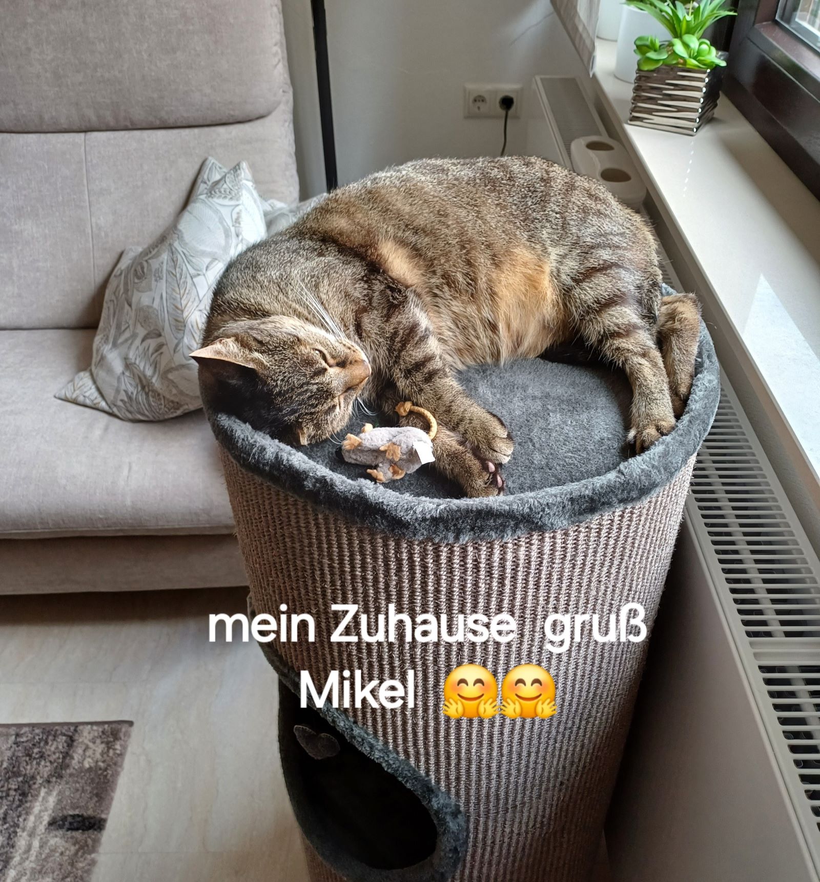 Neues Zuhause – Mikel grüßt glücklich