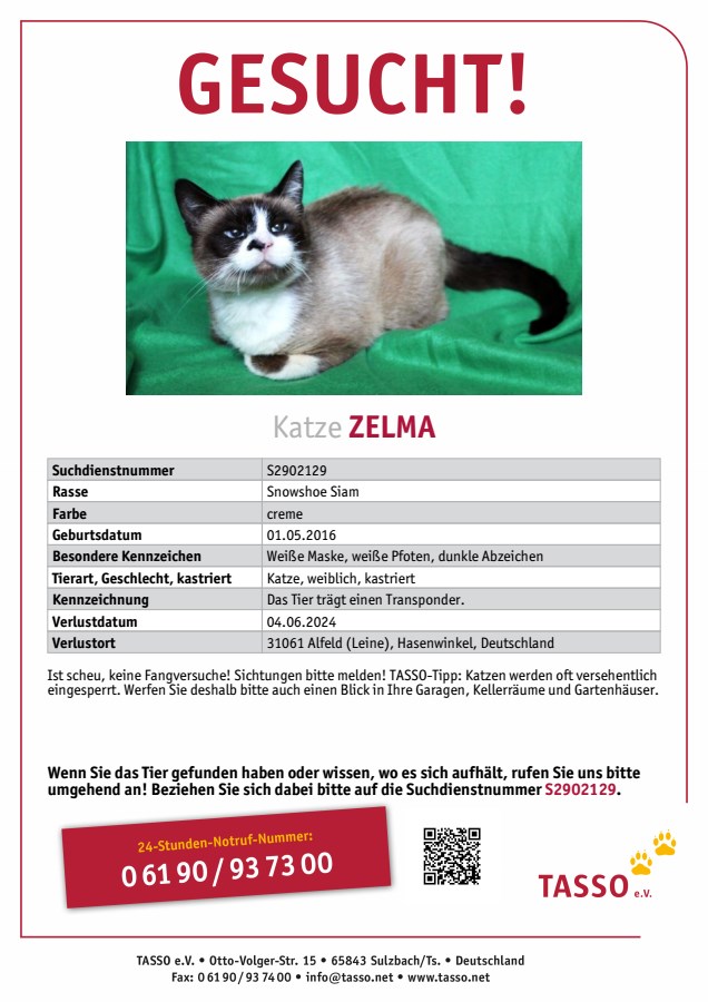 Vermisst – Katze Zelma aus Alfeld, Hasenwinkel