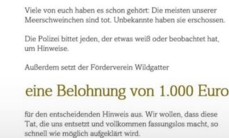 Wildgatter Hildesheim – Tierquäler töten 14 Meerschweinchen