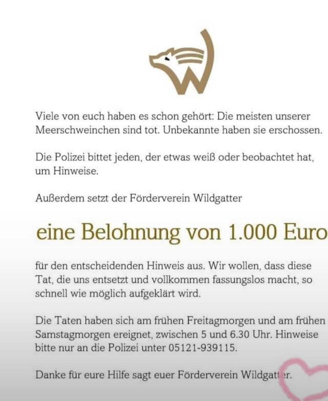 Wildgatter Hildesheim – Tierquäler töten 14 Meerschweinchen
