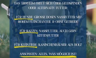Charity gameday Football A-Jugend – Young Invaders !!! Spendenaufruf !!!