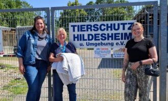 Spende – Garagenflohmarkt in Himmelsthür