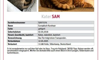 Vermisst – Kater Sam aus Holle