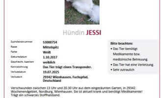 Vermisst bzw. vermutlich gestohlen – Weiße Mittelspitzhündin Jessi aus Wienhausen