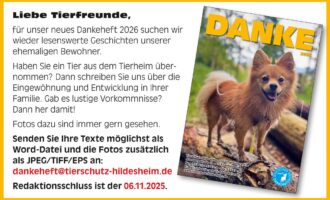 DANKEHEFT 2026 – Berichte gesucht