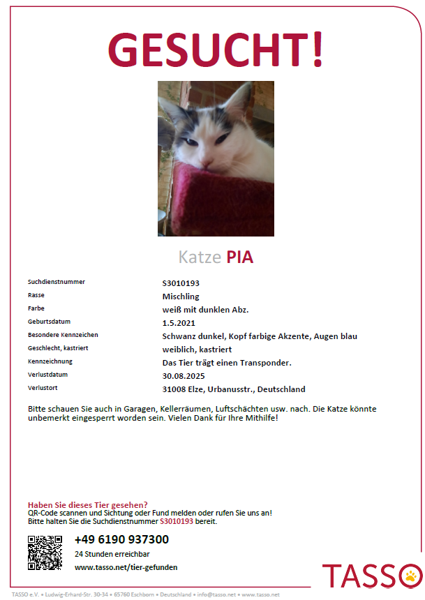 Vermisst – Katze Pia aus Elze