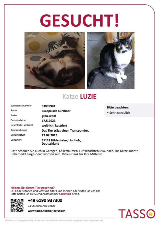 Vermisst – Katze Luzie aus Lindholz/Hildesheim