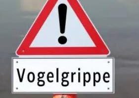 VOGELGRIPPE – BITTE BEACHTEN – WICHTIGER BEITRAG !!!