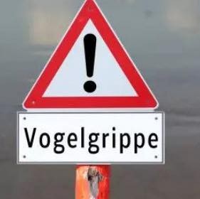 VOGELGRIPPE – BITTE BEACHTEN – WICHTIGER BEITRAG !!!