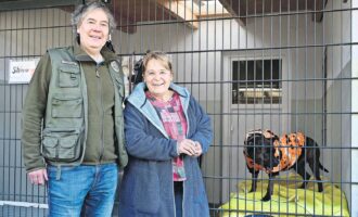 Ein Tier ist kein Weihnachtsgeschenk – Der Tierschutz HI im „Kehrwieder“