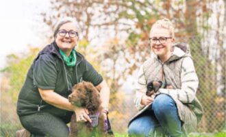 Neues Trainingsangebot unter fachkundiger Anleitung für Ihren Welpen