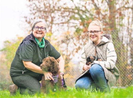 Neues Trainingsangebot unter fachkundiger Anleitung für Ihren Welpen