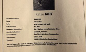Vermisst – Katze Jady aus Hildesheim