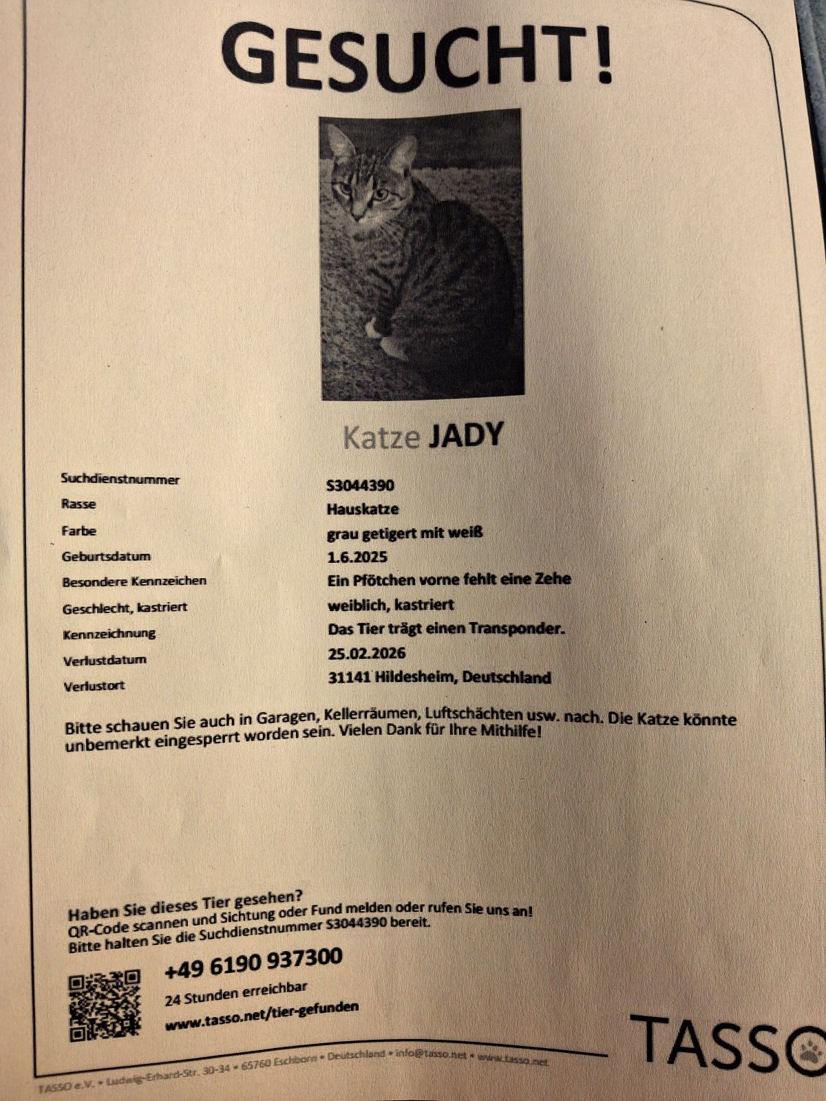 Vermisst – Katze Jady aus Hildesheim