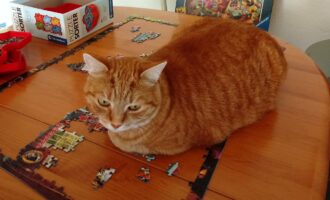 Neues Zuhause – Daya sendet herzliche Geburtstagsgrüße