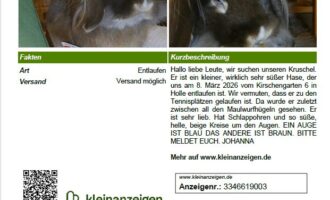 Vermisst seit 8.3.- Kaninchen Kruschel in Holle