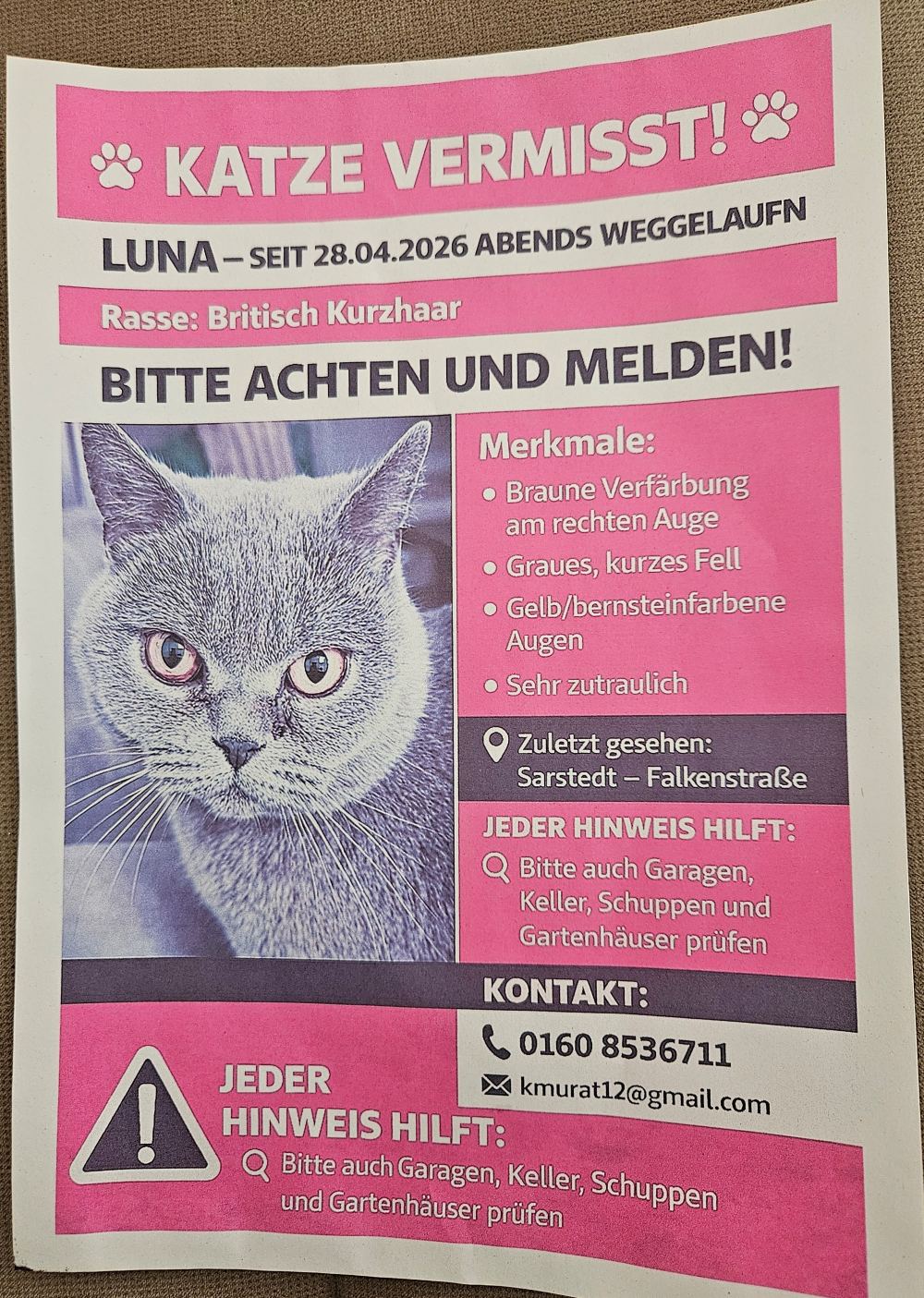 Vermisst 28.4. – Katze Luna aus Sarstedt/Falkenstraße
