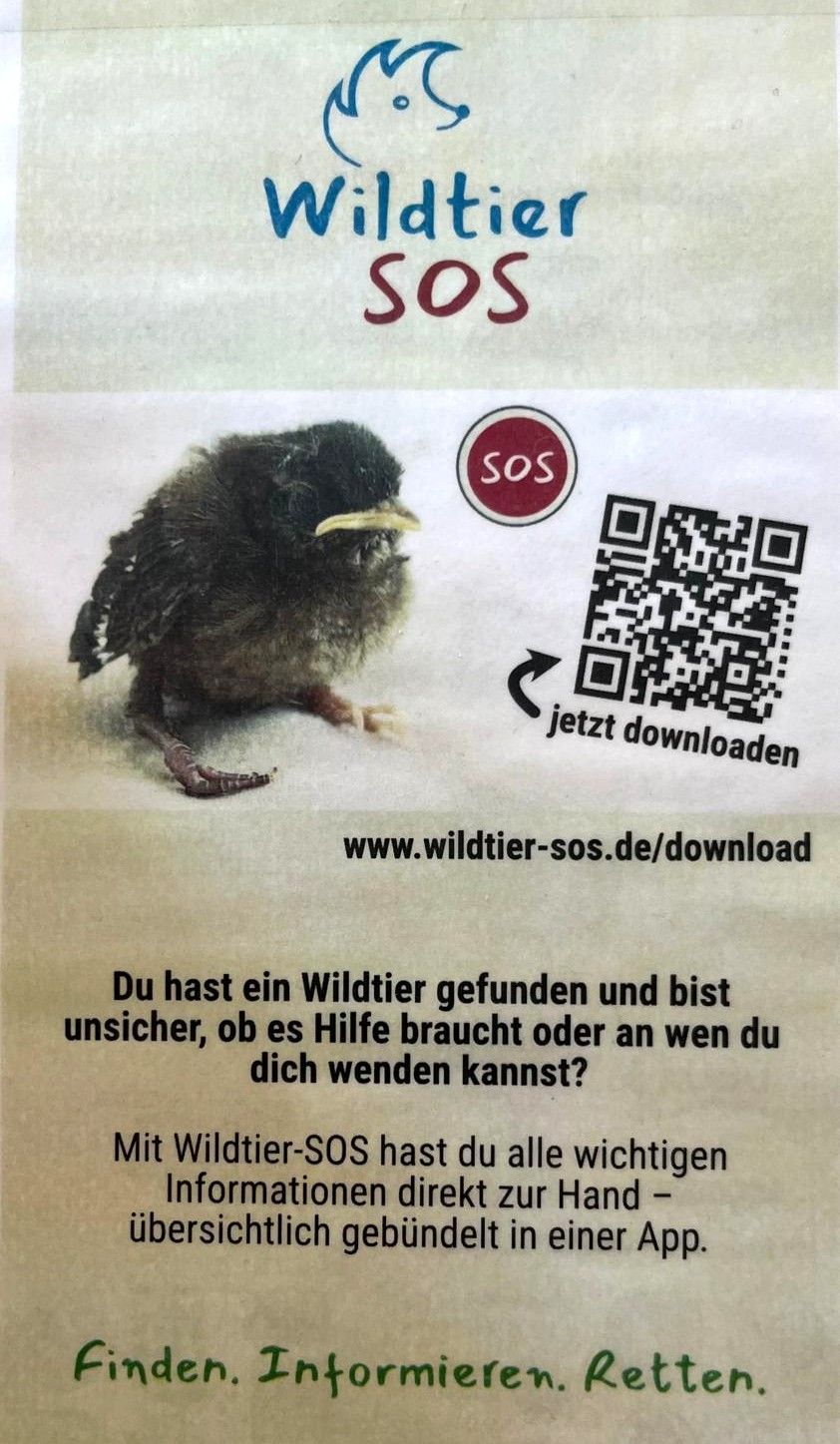 SOS-App bei Auffindung eines Wildtieres vor der Übergabe an das Tierheim