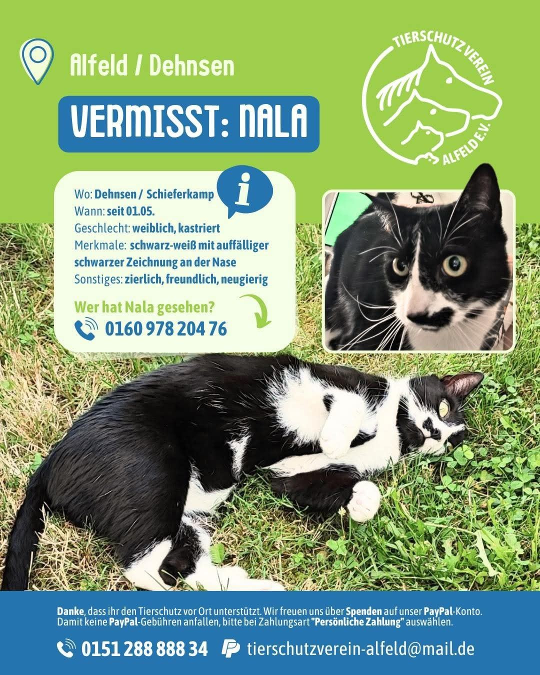 Vermisst 1.5. – Katze Nala aus Alfeld (Dehnsen), Schieferkamp
