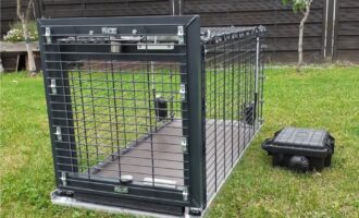 Spendenaufruf für eine Lebendfalle für wilde Katzen