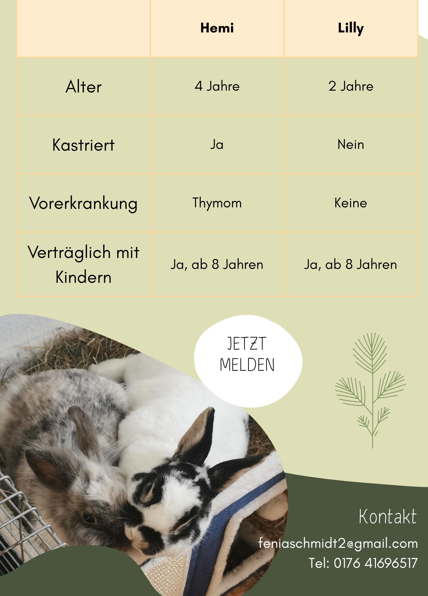 Privatvermittlung – Kaninchen Hemi und Lilly
