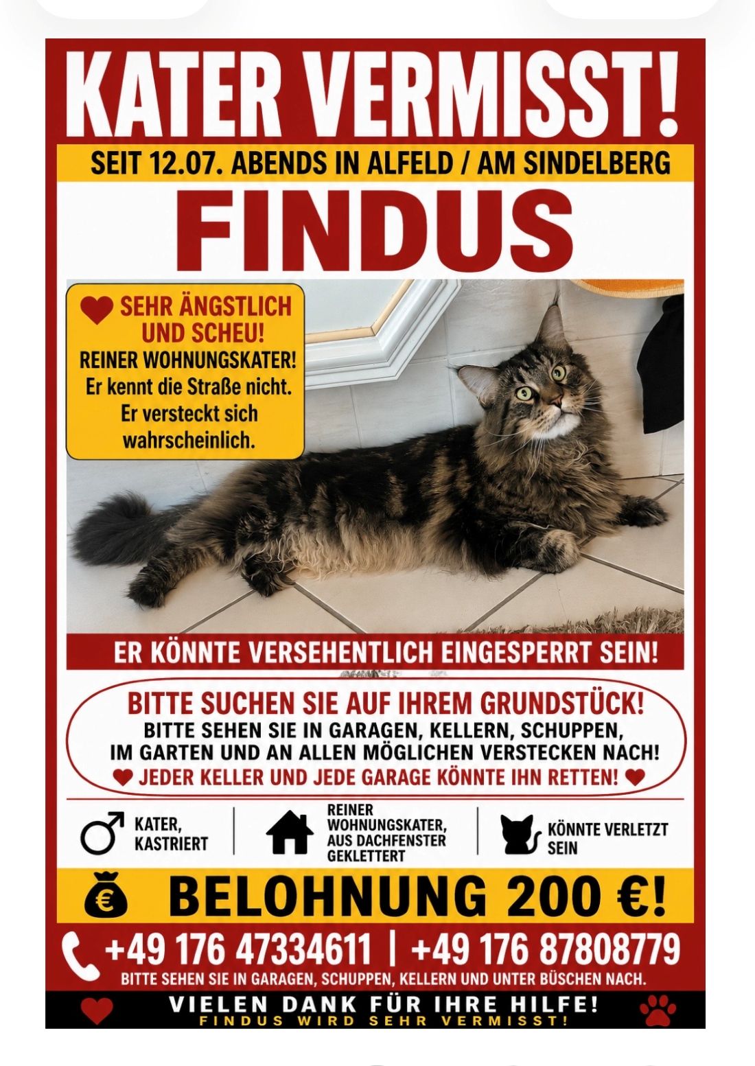 Vermisst 12.7. – Kater Findus aus Alfeld/Am Sindelberg