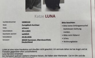 Vermisst – Katze Luna aus Hannover/Ellernbuschfeld