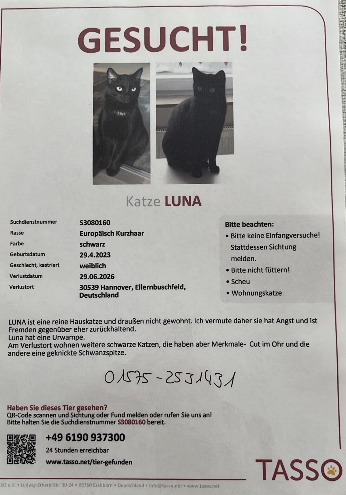 Vermisst – Katze Luna aus Hannover/Ellernbuschfeld