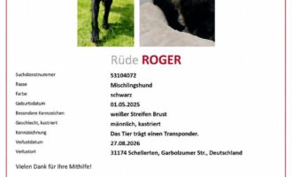 Vermisst seit 27.08. Rüde Roger aus Schellerten