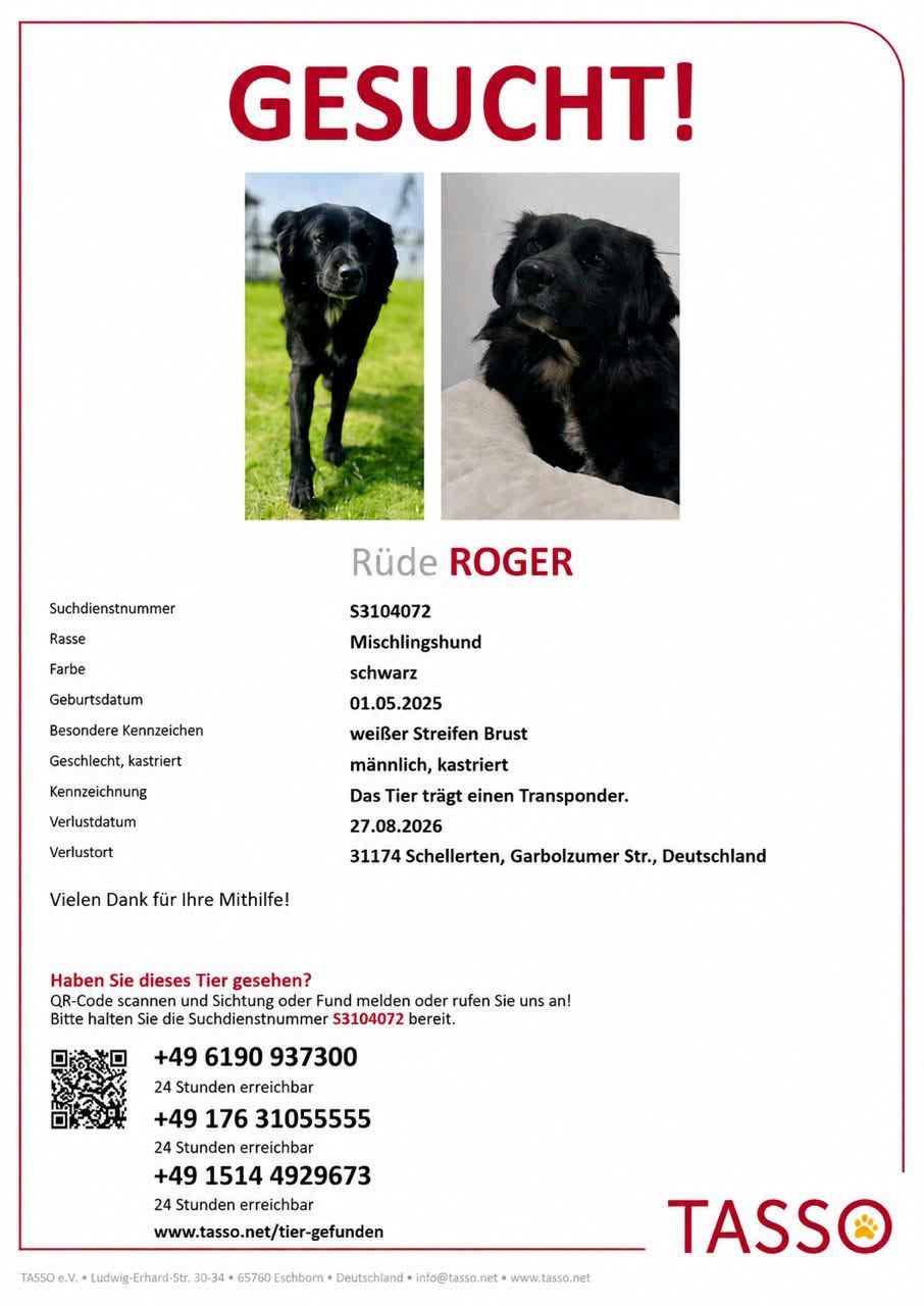 Vermisst seit 27.08. Rüde Roger aus Schellerten
