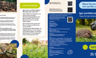 Igel und Mähroboter – Tipps für den Artenschutz von der Region Hannover – bitte teilen!!