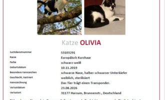 Vermisst – Olivia aus Harsum