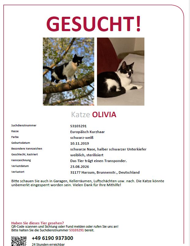 Vermisst – Olivia aus Harsum
