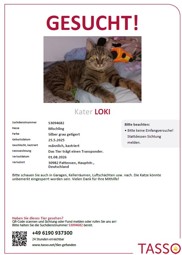 Vermisst – Kater Loki aus Pattensen bei Hannover