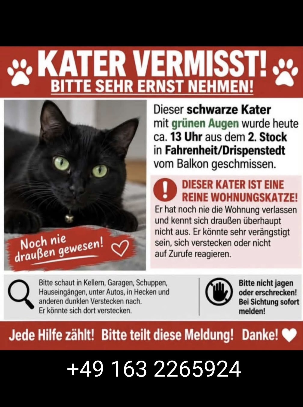 Vermisster schwarzer Kater aus Drispenstedt 09.09.2026
